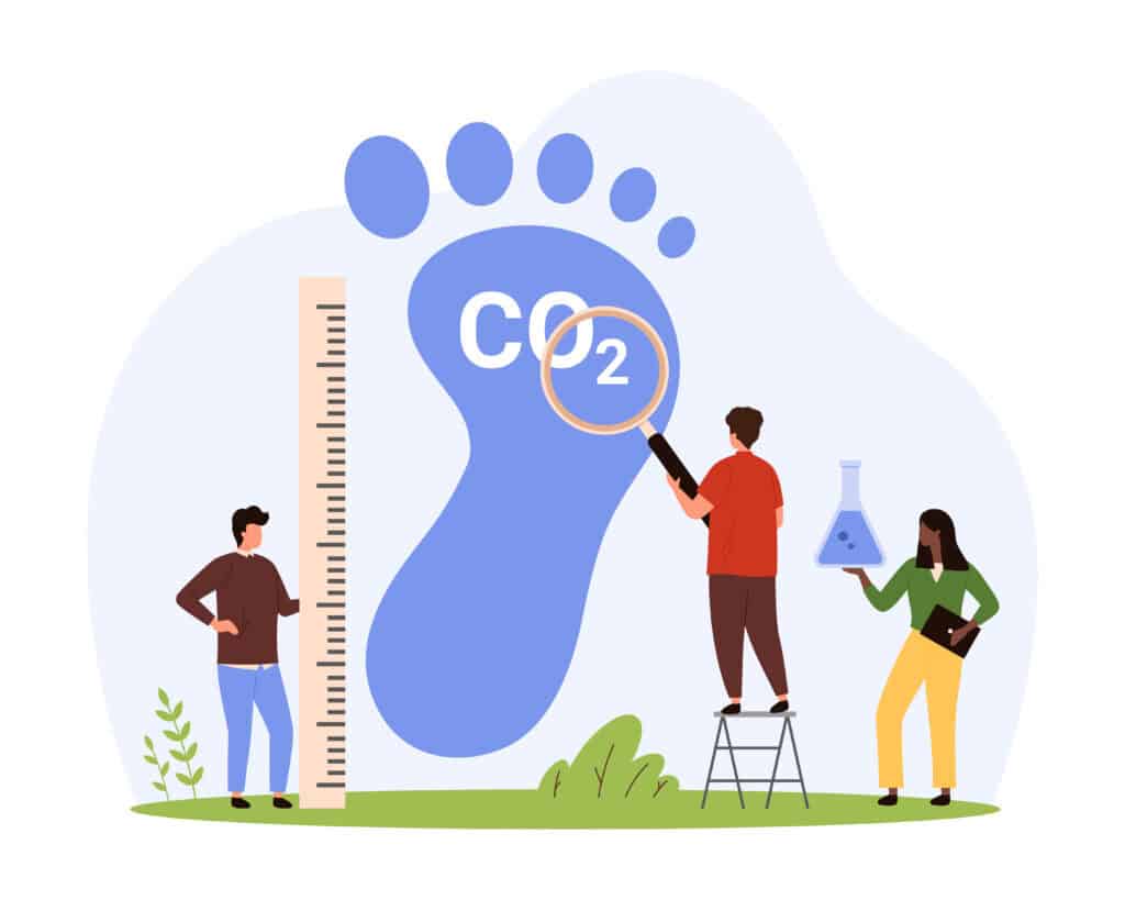 Humanity's footprint